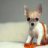 Taffy