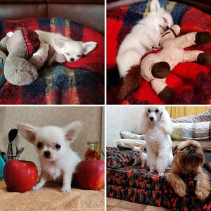 Мои разные, любимые❤️❤️❤️