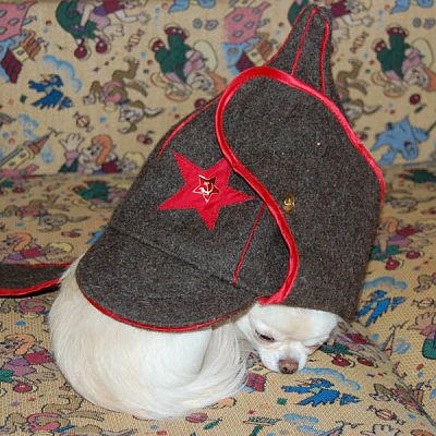 БОН ФО ШОУ