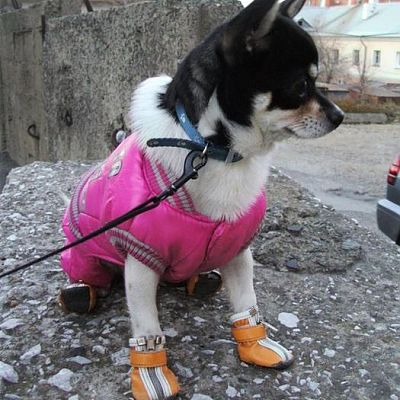Бинго