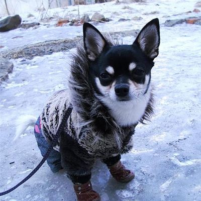 Бинго