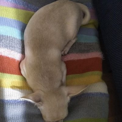 IMG-20180821-WA0001