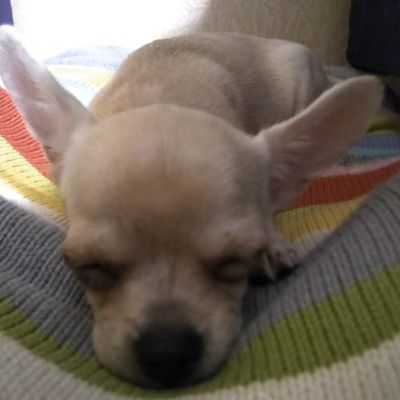 IMG-20180821-WA0027
