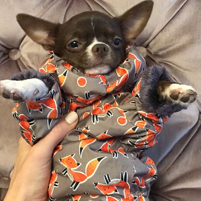 Костюмчик подошёл