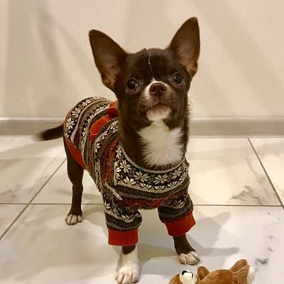 Мне 5 месяцев