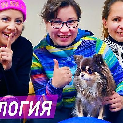 Собака у зоопсихолога