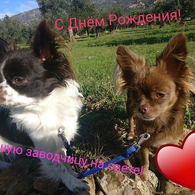 ВК Магия Любви и ВК Евангелина, обе живут в Испании, прилетают в гости