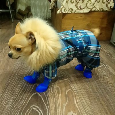 Готов к зиме