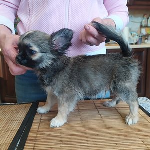 мальчишки д-ш, три месяца. Москва