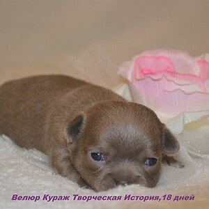 Исти 8.jpg