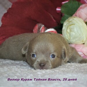 Тайни 14.JPG