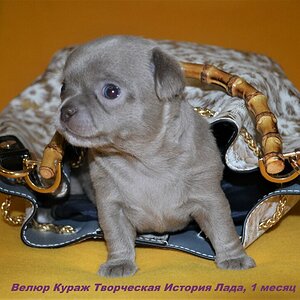 1 месяц Лада 1.JPG