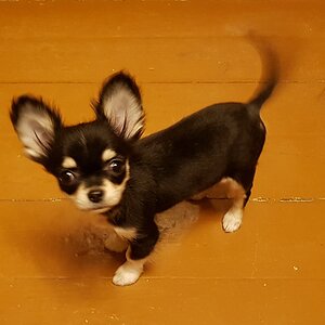 20210209_172841.jpg