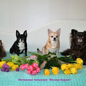 08032022 1 с подписью.JPG