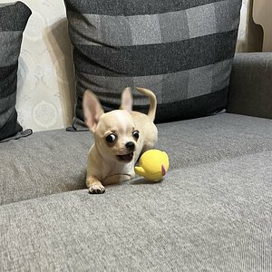 IMG_9789.jpeg