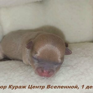 Центр Вселенной 1.jpg