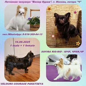 6YEeuFVsjgaKUUvUIKhMRQUHXQn4bePKCO97SjPUCwHpPkLuod7SmET2J-ubBaW_99oZGzN1wAWK8y59d_nY6Qg9.jpg